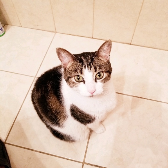 Meet your Posher, Les - Picture 2 of 2